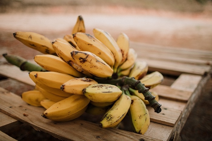 how to store bananas - go bananas