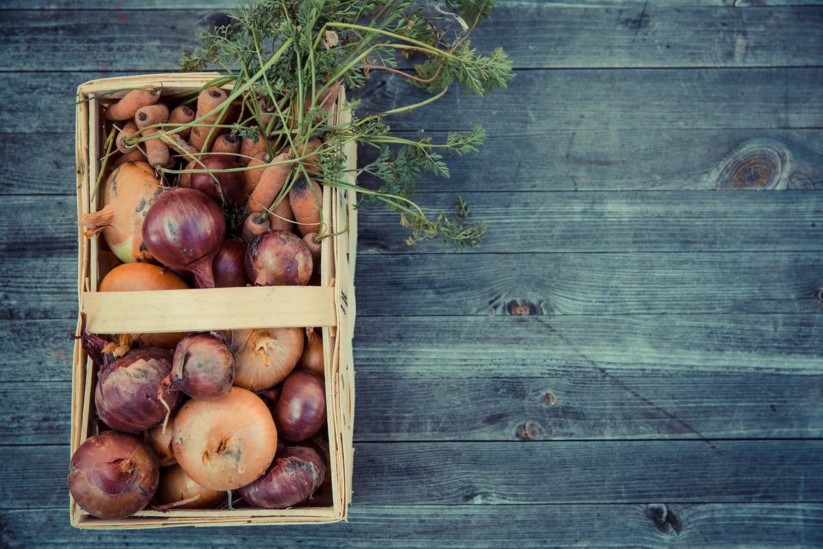 how to store onions - how to store