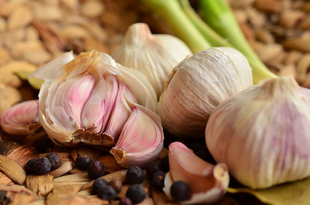 how to store garlic - freezer