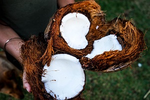 canned food list - coconut milk