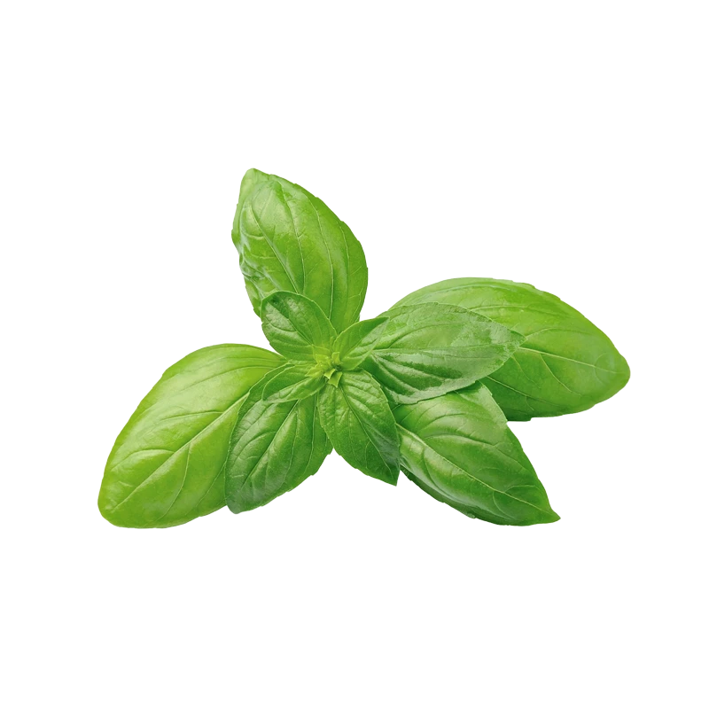 basil