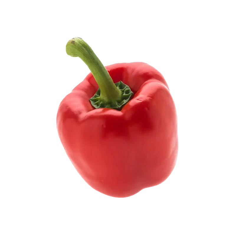 bell pepper