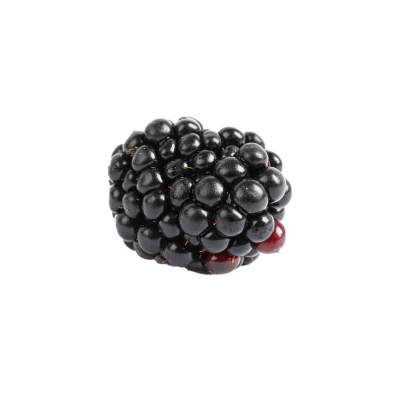 blackberries