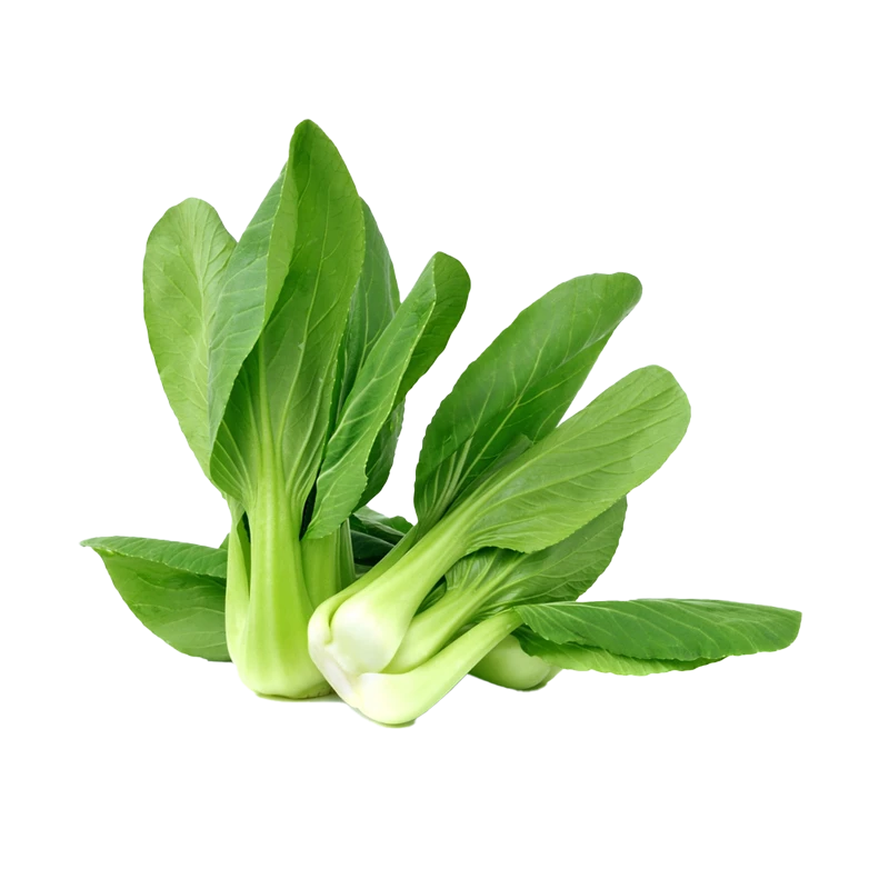 bok choy