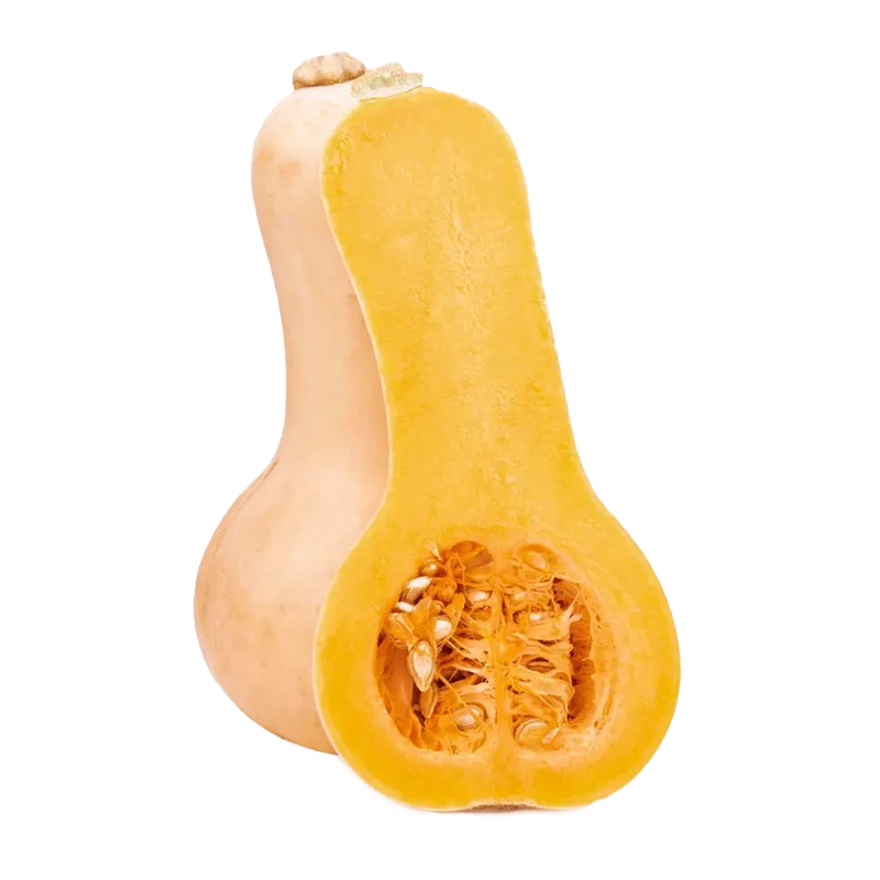 butternut squash