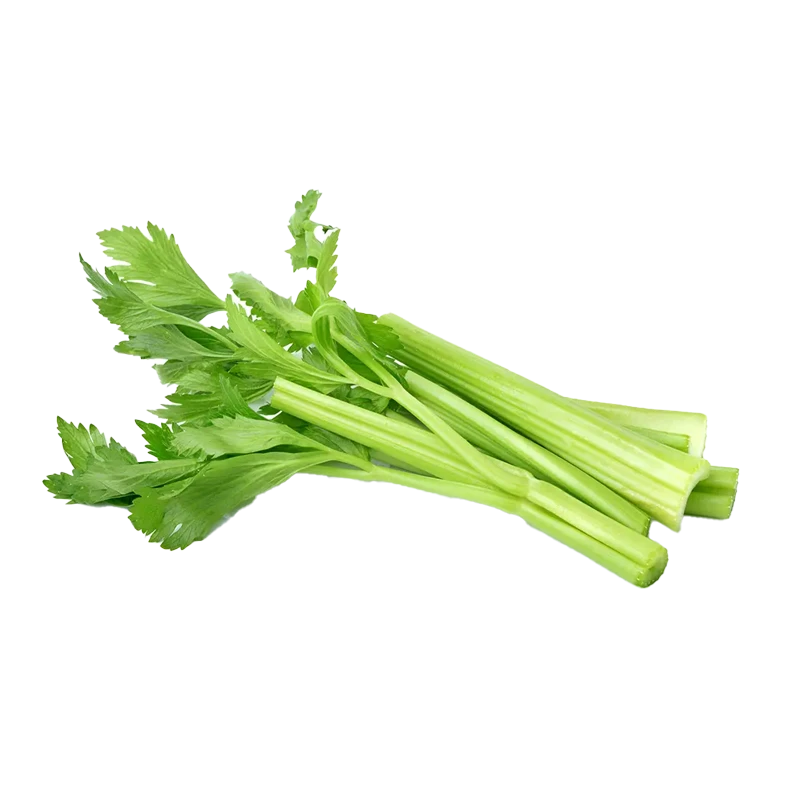 celery