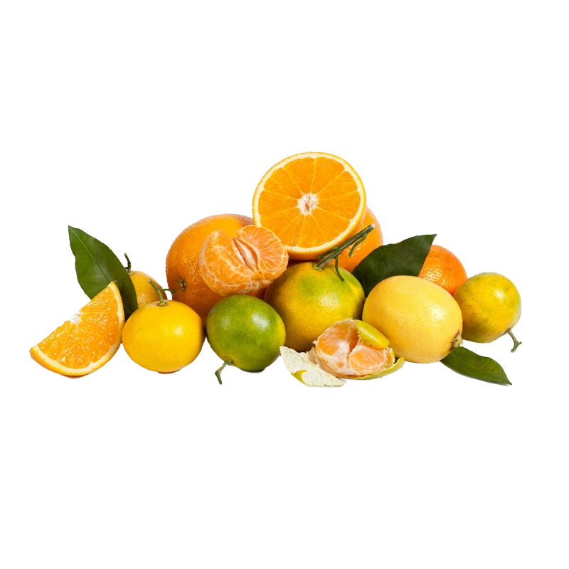 citrus fruits