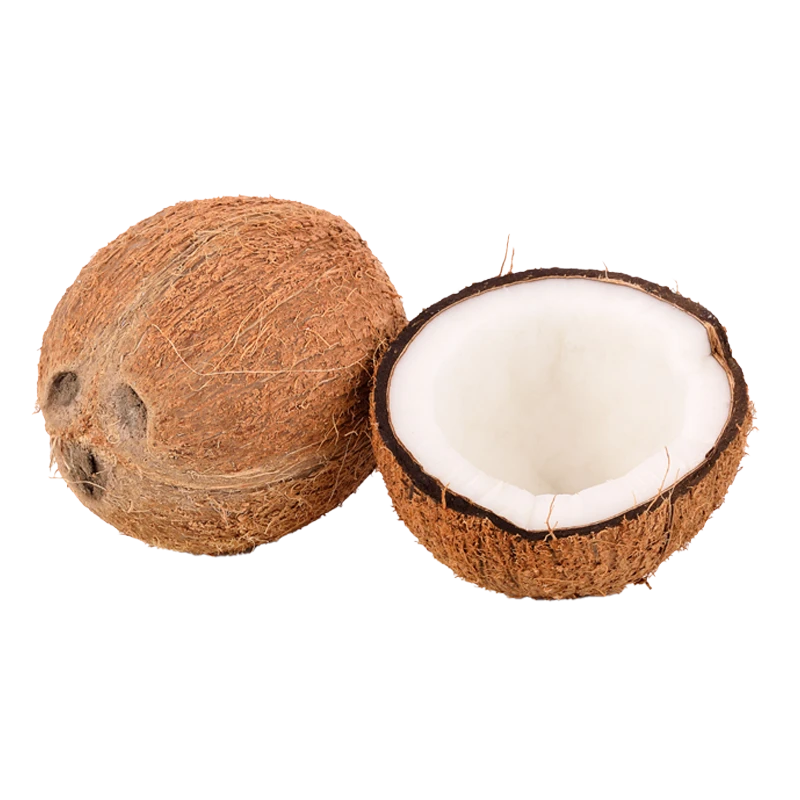 coconut