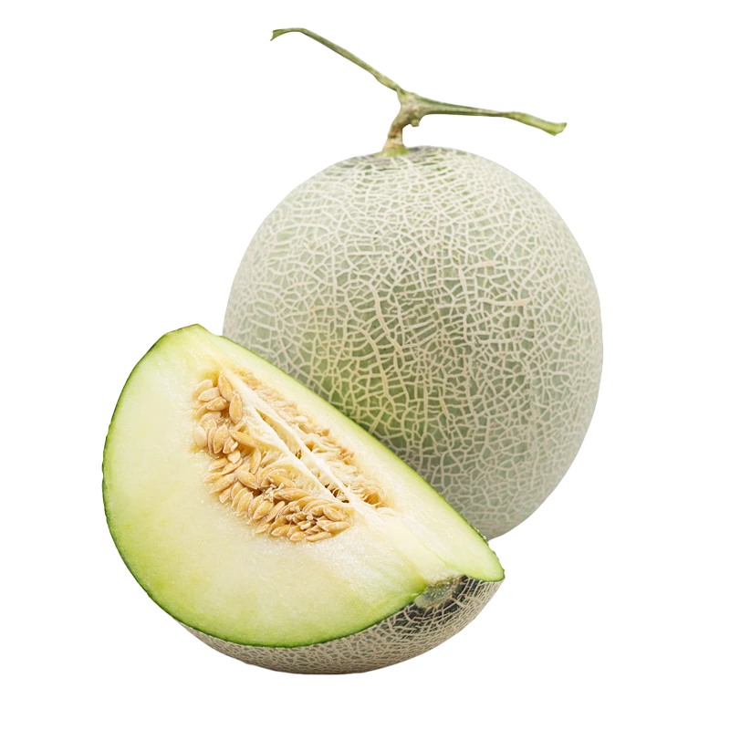 honeydew