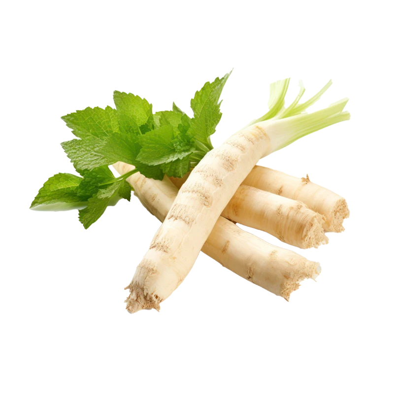 horseradish