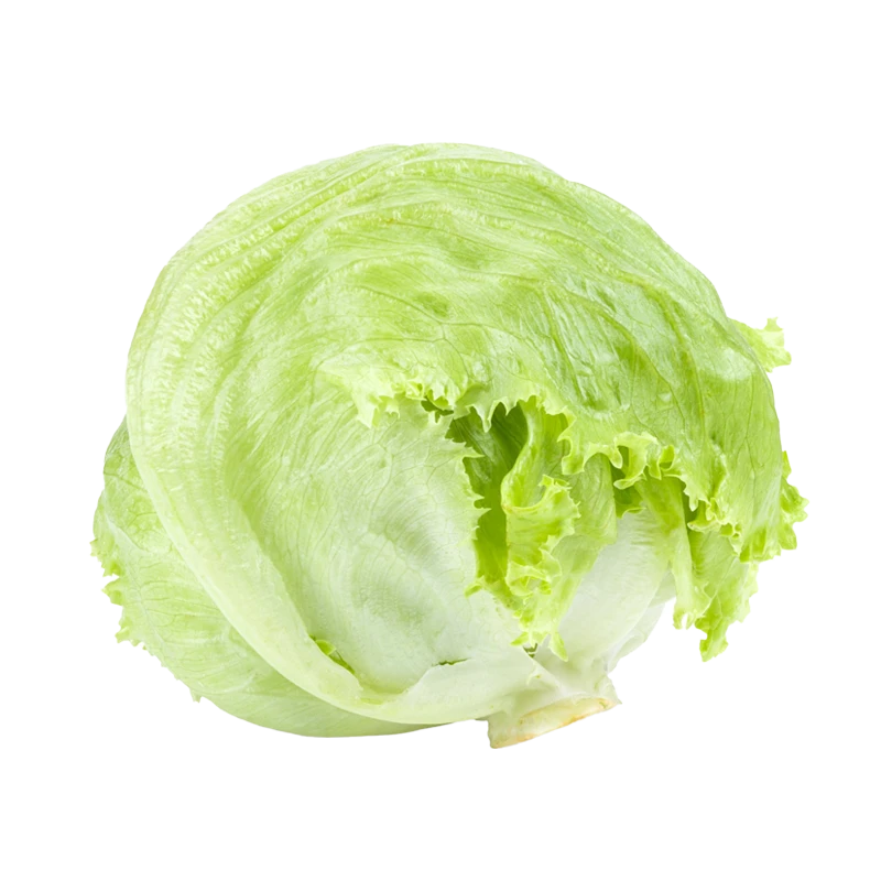 iceberg lettuce