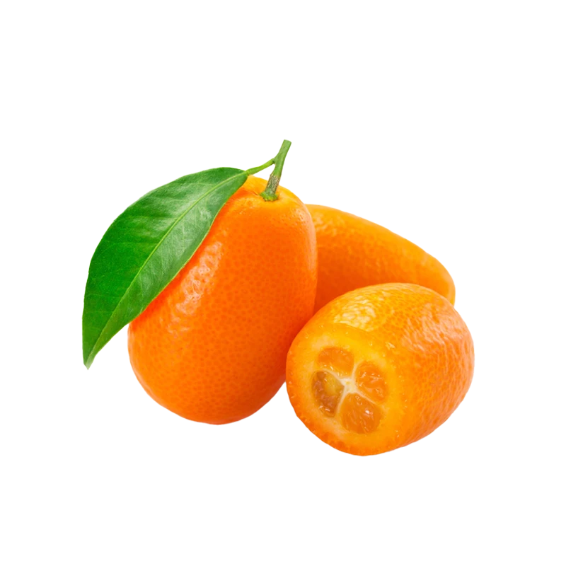 kumquat