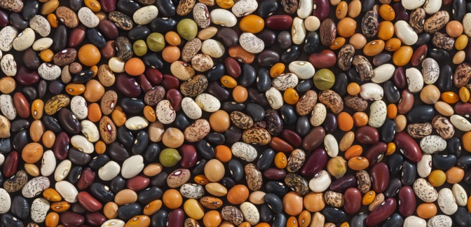 How to choose black beans