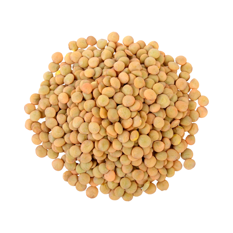 lentils