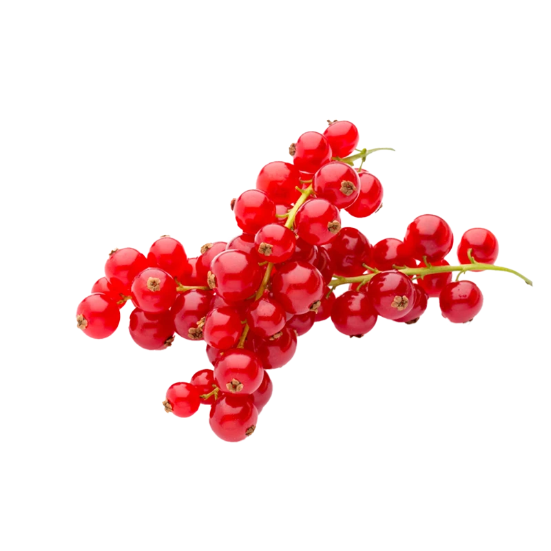 redcurrants